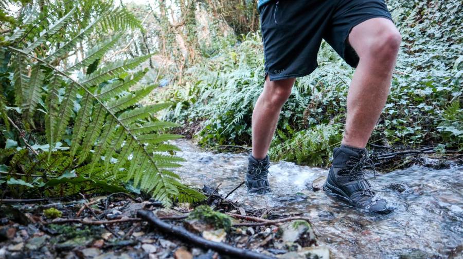 Hiking Boots: How to Choose Hiking Shoes