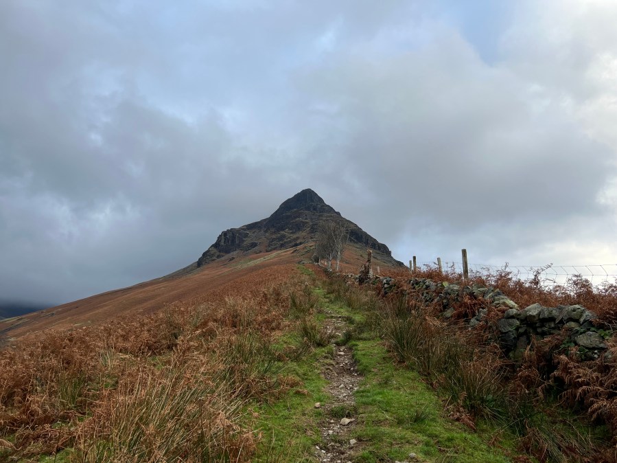 On the easy footpath ascent of Yewbarrow before the scrambling begins