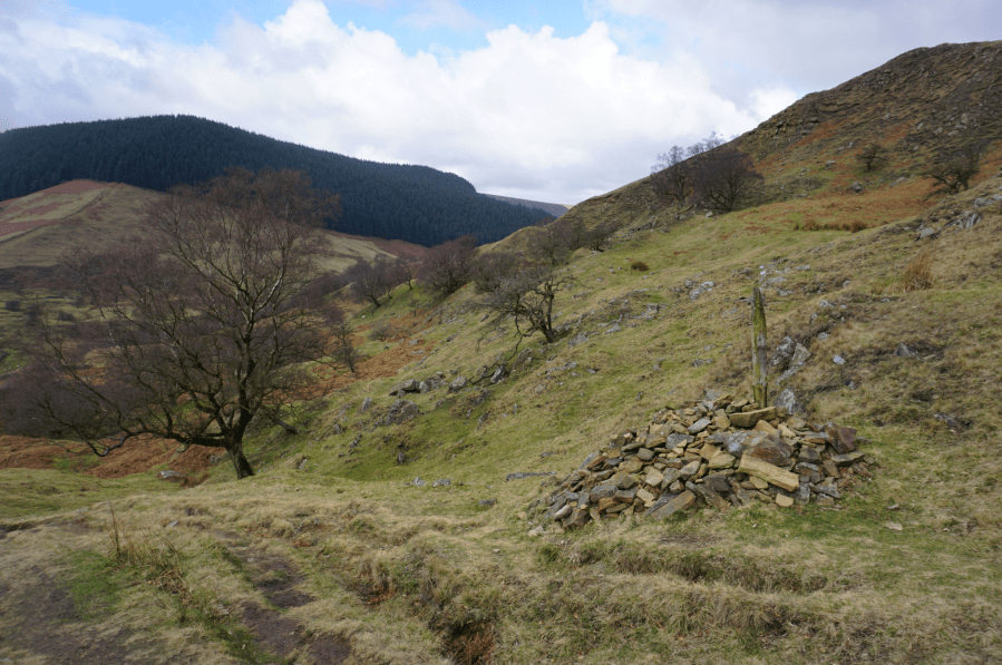 Looking over to Hope Forest and Alport Dale.JPG