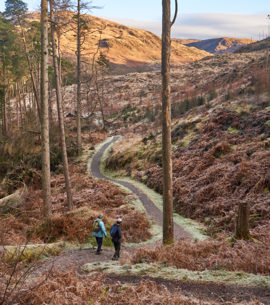 Southern Upland Way path above Caldons.