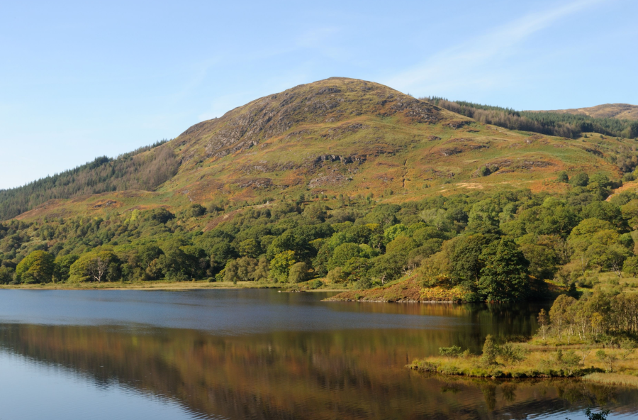 4. Head of Loch Trool.JPG