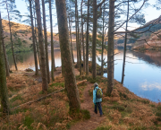3. Picnic promontary, Loch Trool.