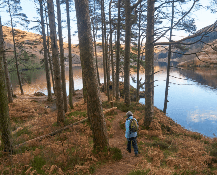 3. Picnic promontary, Loch Trool.