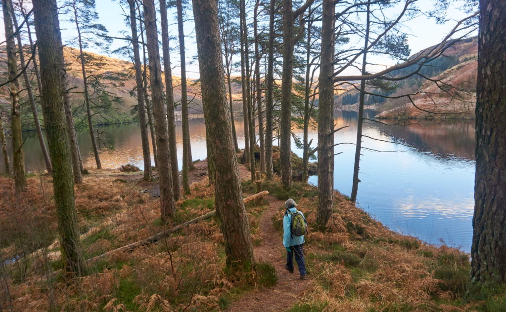 autumn walks - 3. Picnic promontary, Loch Trool.
