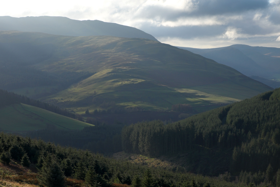 Looking across the forested slopes to Swinside_VCROW.jpg