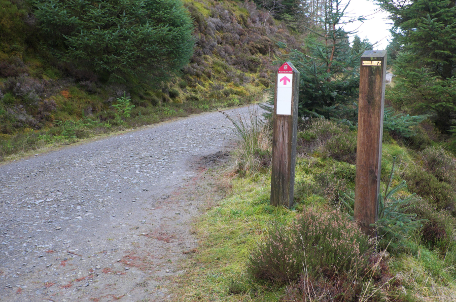 Whinlatter tops WP7_The surfaced forest path at junction post number 7.