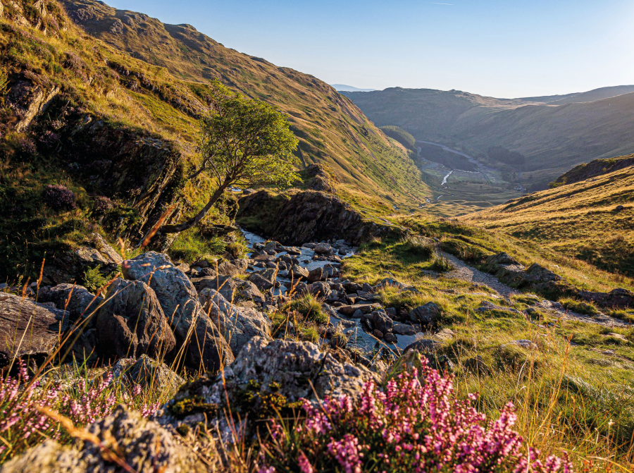 1 - Mardale Head from Small Water Beck - _9121053.jpg