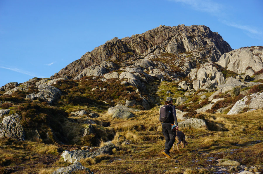 Heading towards the short scramble section up Pen yr Ole Wen.jpg