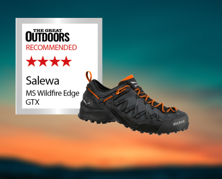 Salewa MS Wildfire Edge GTX (1)