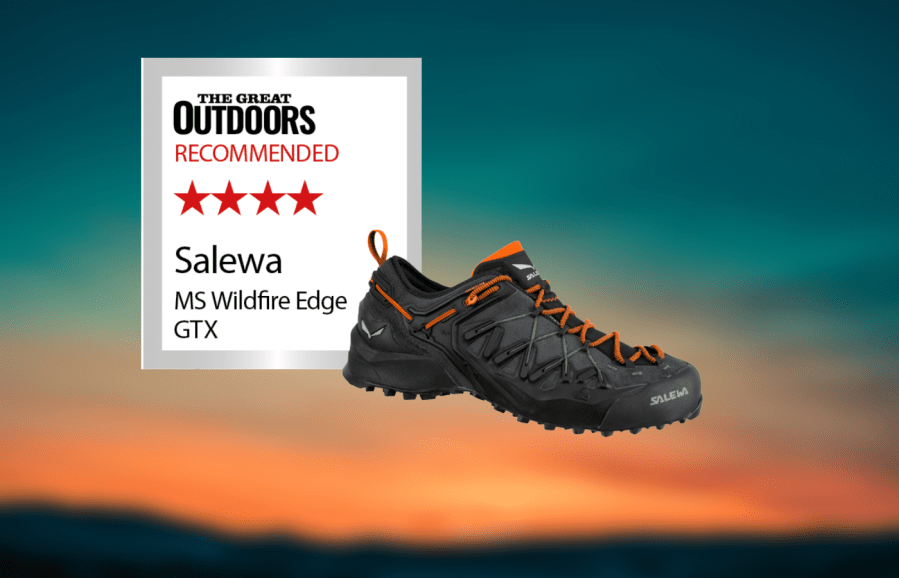 Salewa MS Wildfire Edge GTX (1)