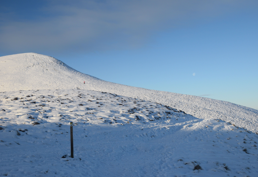 Pentland traverse Way marker post.JPG