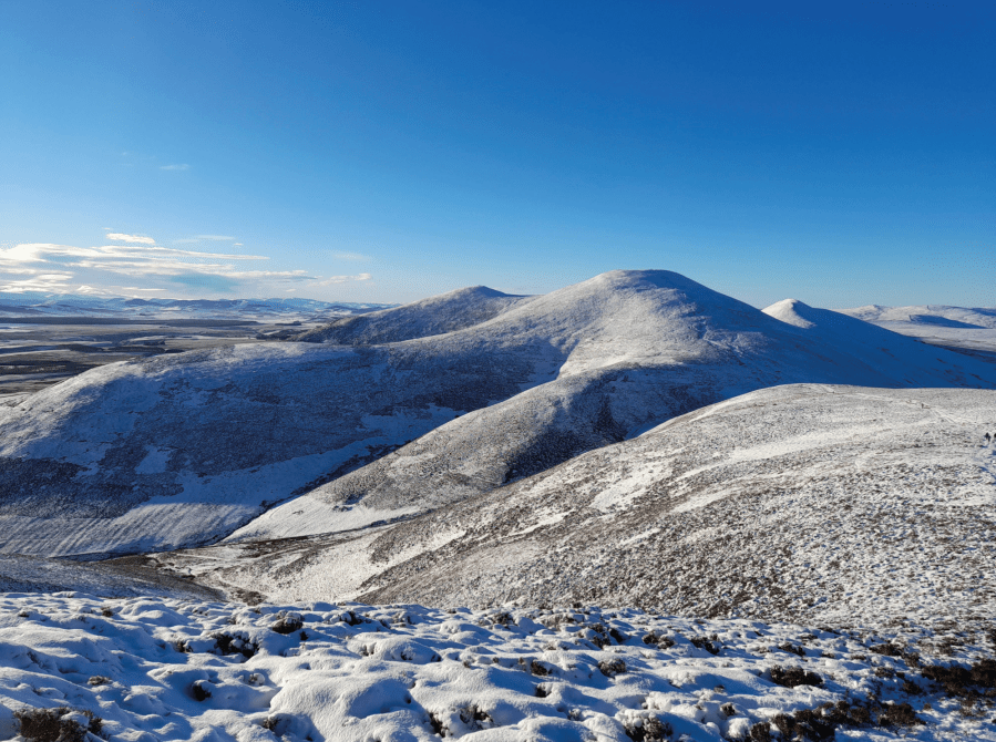 15 Scald Law from Carnethy.jpg