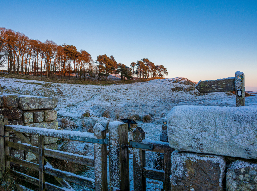 Hadrian's Wall - Waypoint 6 - Knag Burn Gate - PC141216.jpg