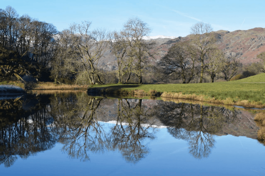 7. Tree reflection in River Brathay.jpg