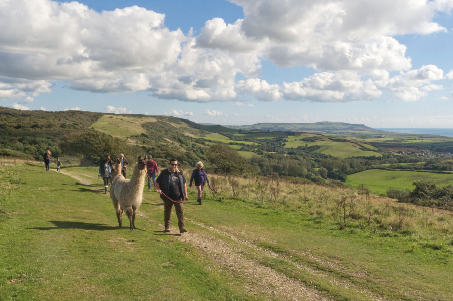 05 Llama party on Mottistone Down.jpg