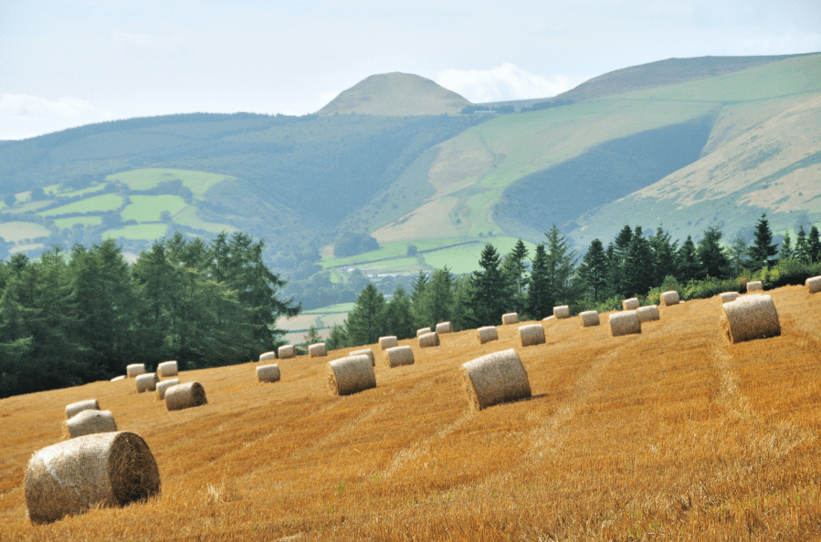 Llan-fawr Photo 1: The prominent summit of Whimble seen looking west from the hills above Evenjobb