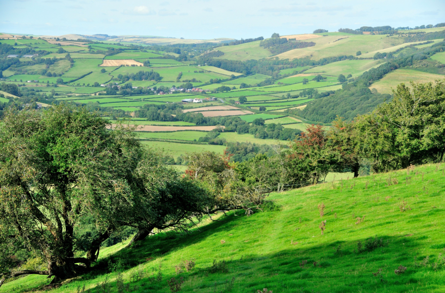 Photo 5: Offa’s Dyke Path descends north to the valley of the River Lugg, with Hengwm Hill on the right.JPG