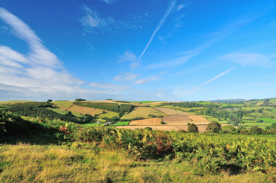 Photo 11: Wide horizons looking north from Llan-fawr to Graig Hill above the lonely church at Pilleth.JPG