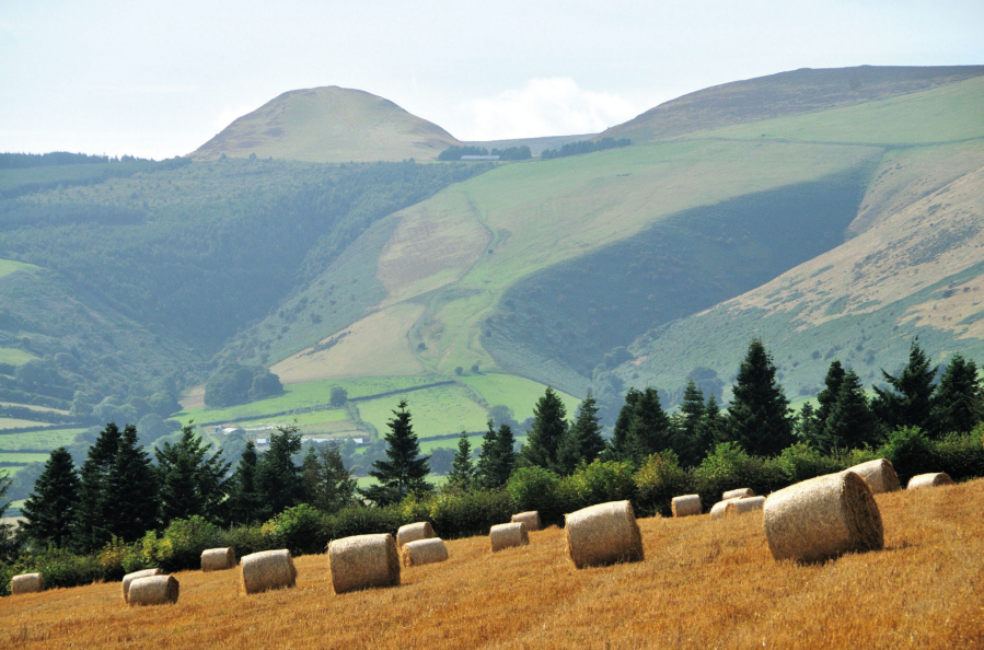 Photo 2: Whimble forms an unmistakeable landmark seen looking west from Offa’s Dyke Path