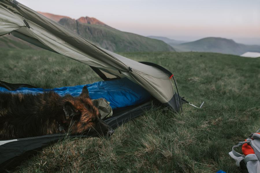 A good night's sleep is vital for happy campers.