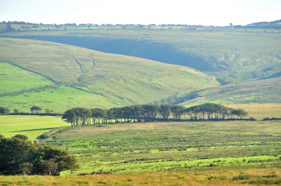 11. Looking south down Goat Hill on the descent from Chains Barrow, with Little Vintcombe in the background