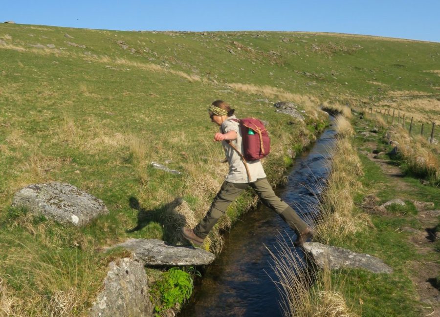 wistmans woods 2. The sheep leap over the leat. - Tim Gent