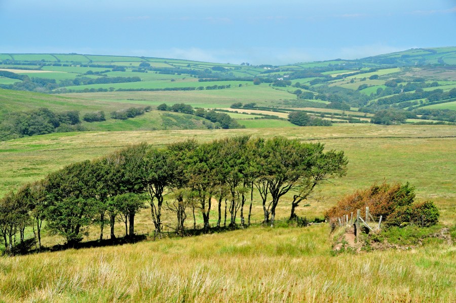 Exmoor - Cheriton Ridge and the Chains