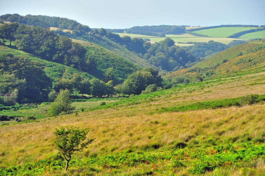 Exmoor - Cheriton Ridge and the Chains