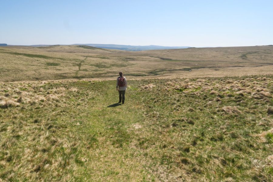 wistmans woods - Heading downhill from Rough Tor towards Brown's House. Credit: Tim Gent