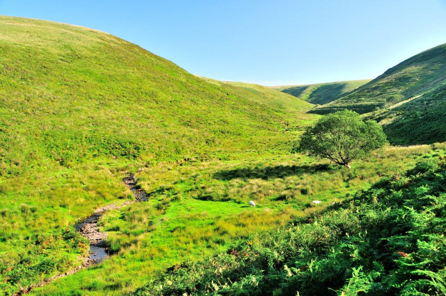 9. Hoaroak Water enters a beautiful narrow valley which cuts south into the moors known as the Chains