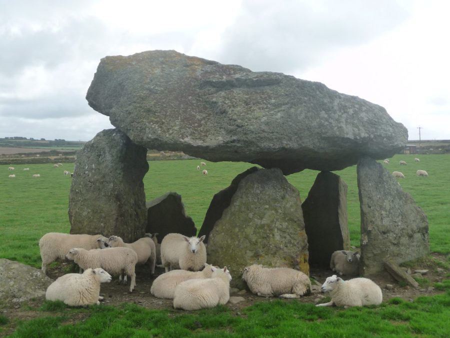 Careg Sampson, Neolithic burial chamber (& sheep shelter)