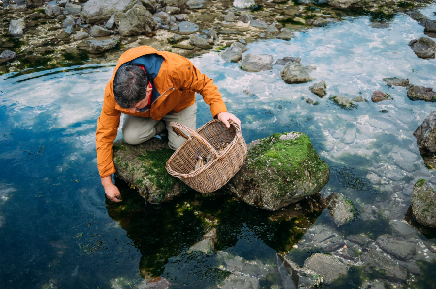 coastal foraging - llansteffan - celtic routes