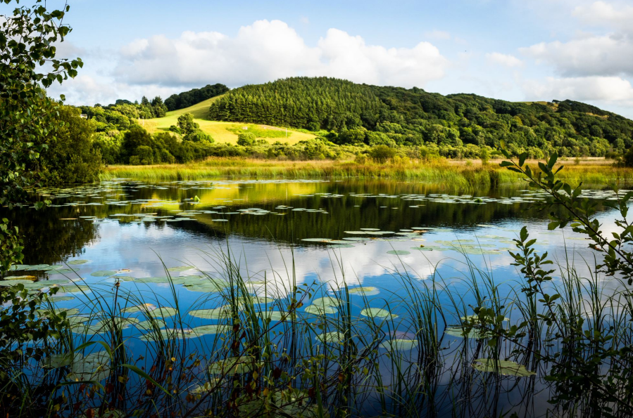 ceredigion cors caron 