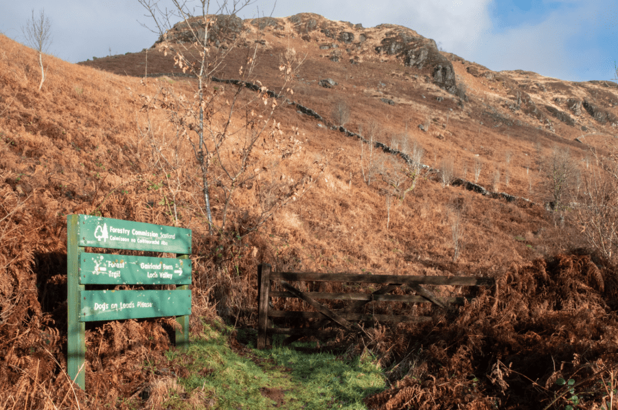 Buchan Hill.jpg