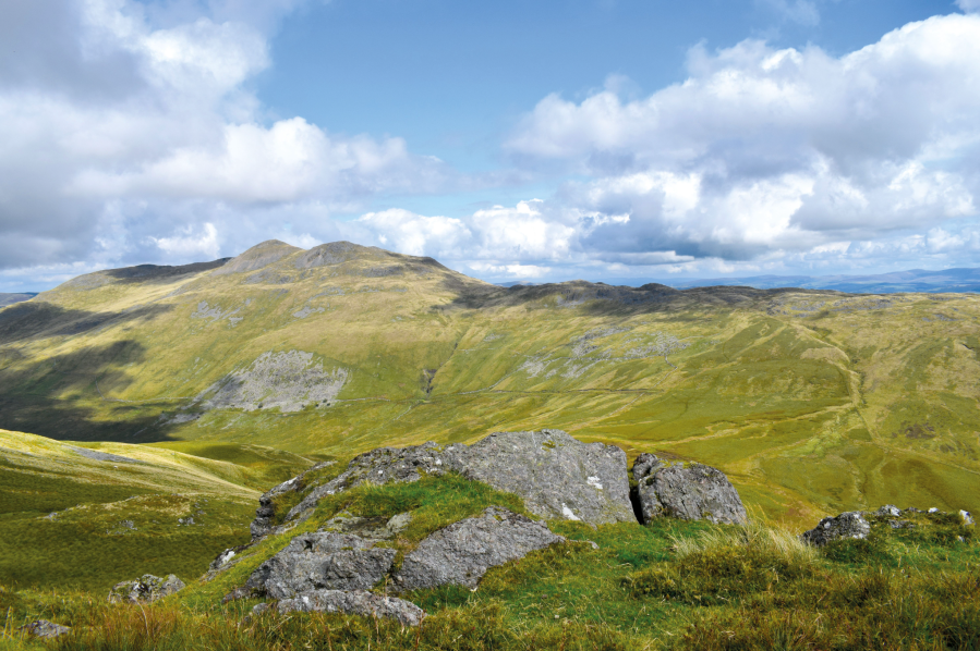 Views of Arenig Fawr from near Moel Llyfnant.