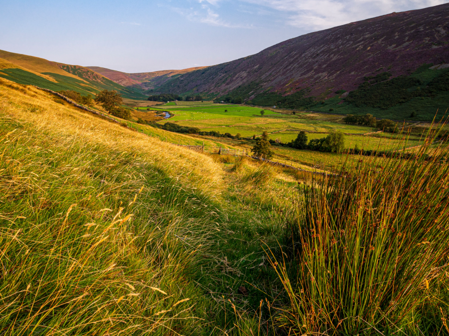 1 - Swineside rises over the River Caldew.jpg