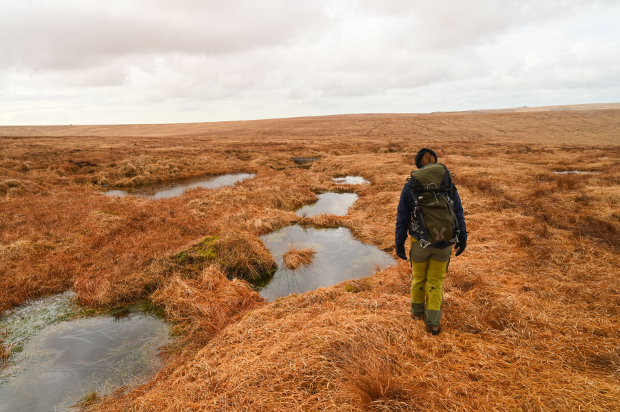 9. Heading towards Cranmere Pool. JPG - Tim Gent.jpg