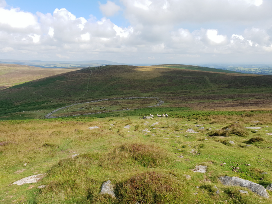 Two Moors Way 9 Grimspound on Dartmoor.jpg