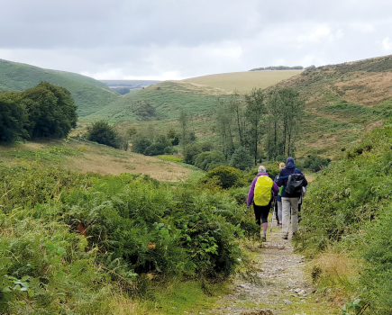 Two Moors Way 12 Entering Exmoor.jpg