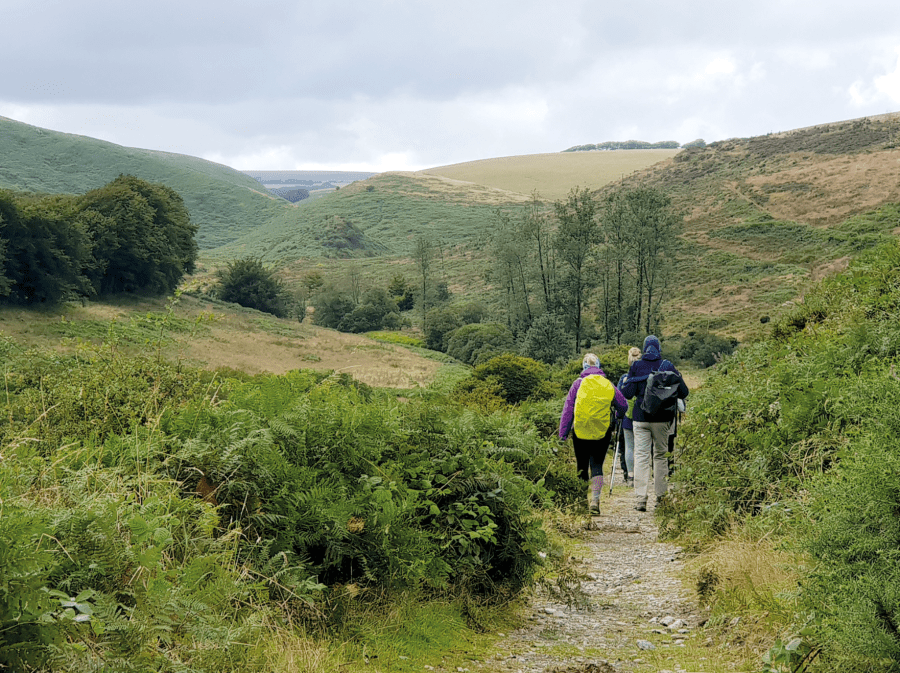 Two Moors Way 12 Entering Exmoor.jpg