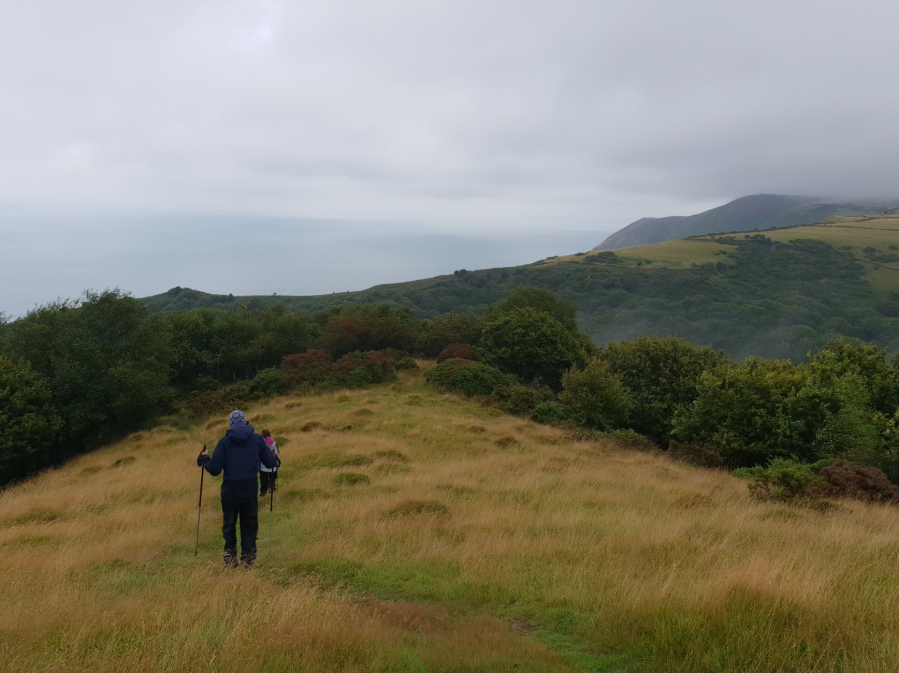 Two Moors Way end
