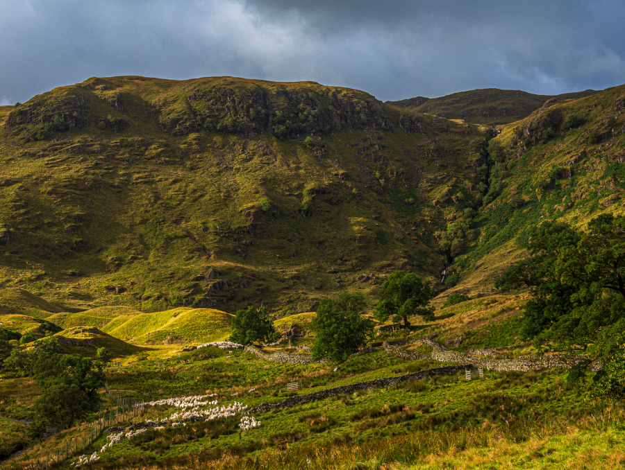 Selside Pike 1 - Nabs Crag and Hobgrumble Gill -  Branstree-8211244.jpg