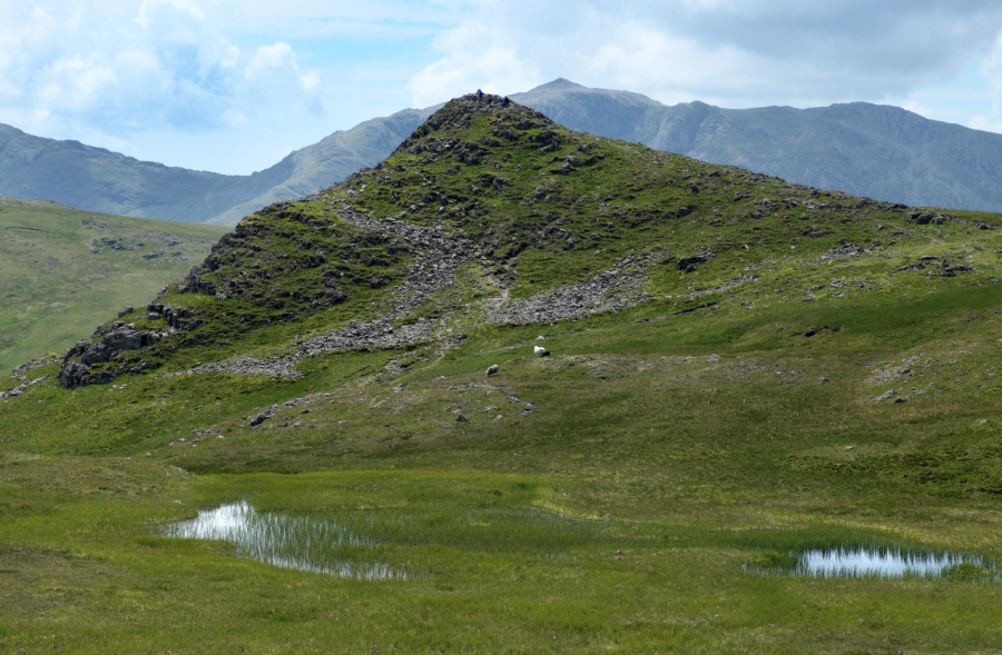 Sergeant Man, with Bow Fell behind it in the distance_DSCF7265.jpg