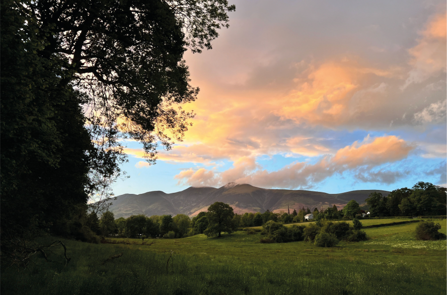 Bleaberry Fell 4 Views to Skiddaw on the way through Castlehead Wood.jpg