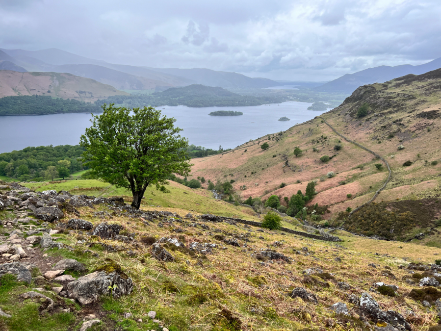 Bleaberry Fell 13 The view from the way back down.jpg