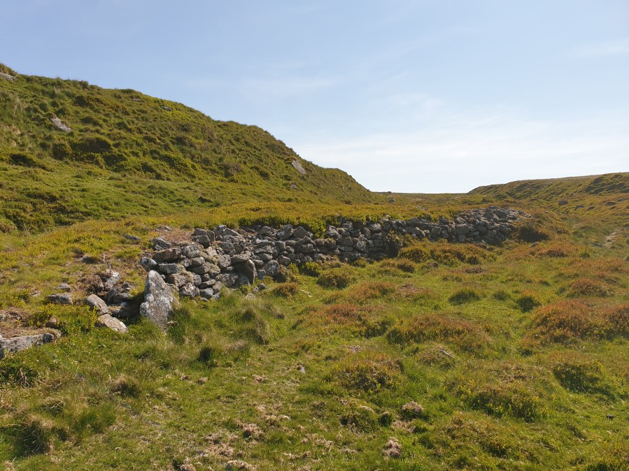 Dartmoor mystery walk - 2 Tumbledown wall in tin workings v1