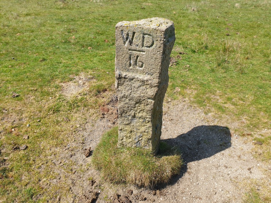 Dartmoor mystery walk - 4 War Department Stone 16
