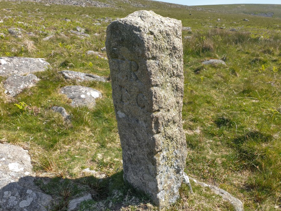Dartmoor mystery walk -5 TRDC Stone