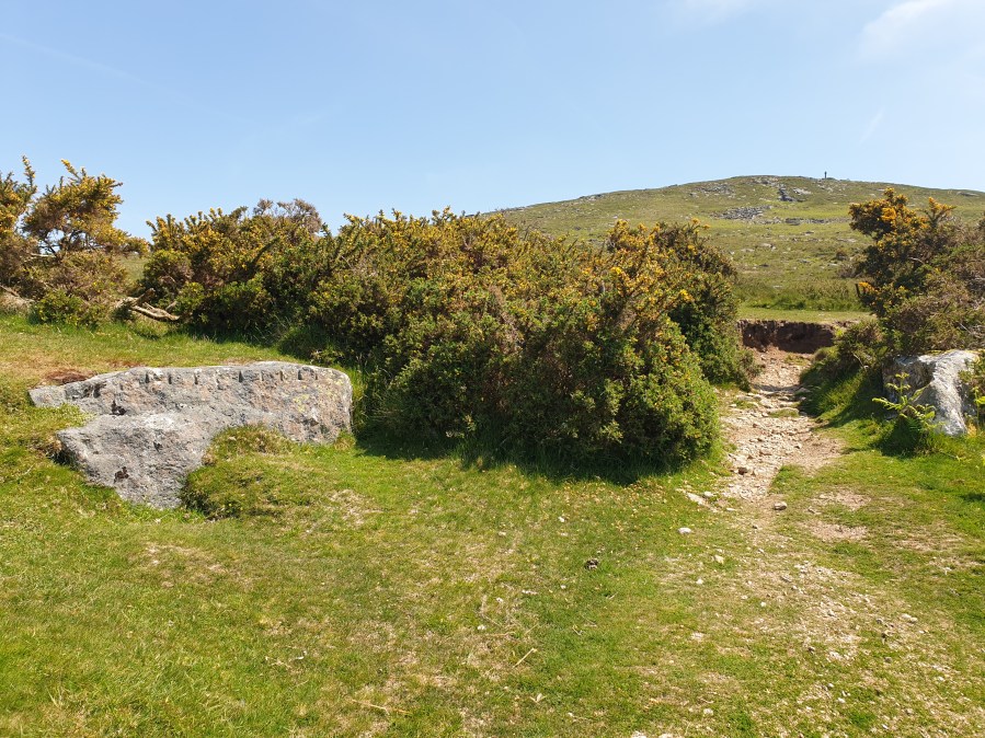 Dartmoor 6 Feather and Tare stone v1