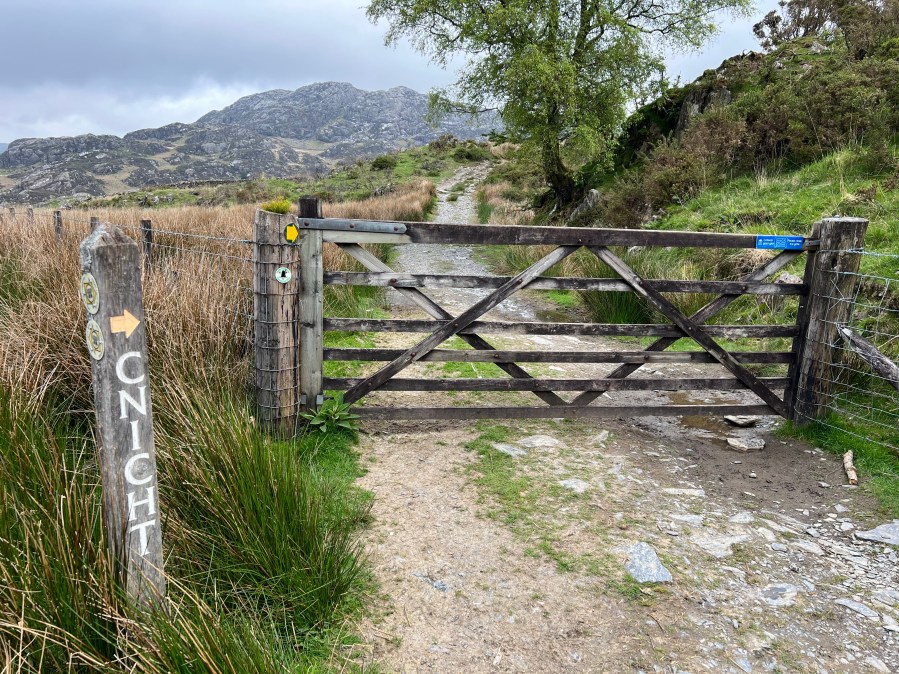 Looking back to the Cnicht path.